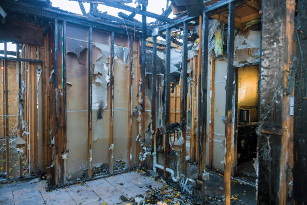 Professional Fire Damage Removal technician working in Bellevue, ID